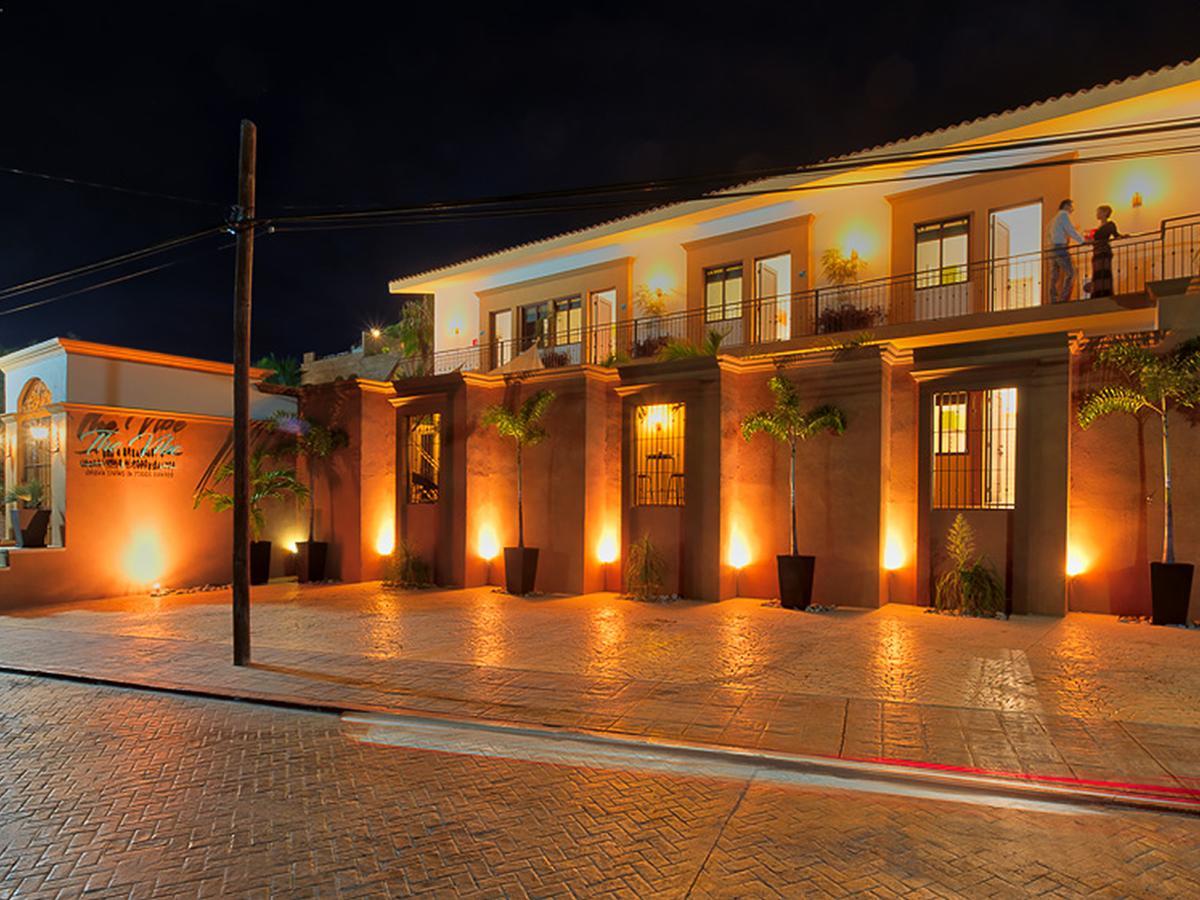 The Vibe Boutique Bed & Breakfast (Adults Only) Todos Santos Kültér fotó